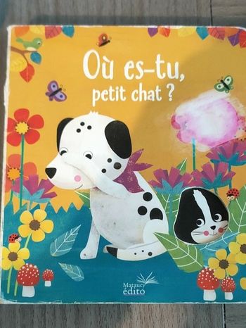 Livre où es tu petit chat ?
