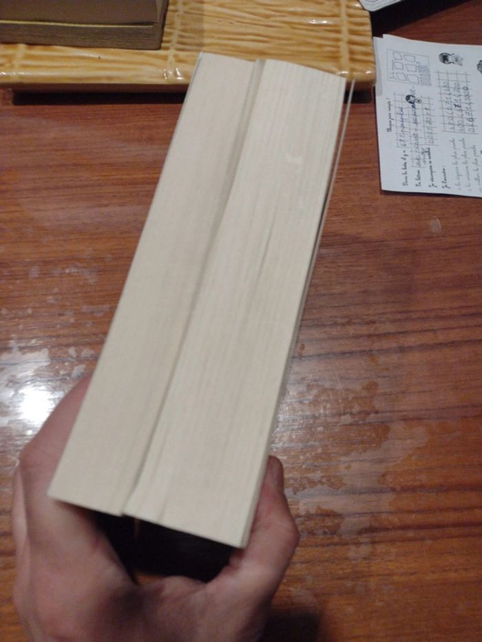 Lot Robin hobb. Le soldat chamane 1 et 2 - photo numéro 4