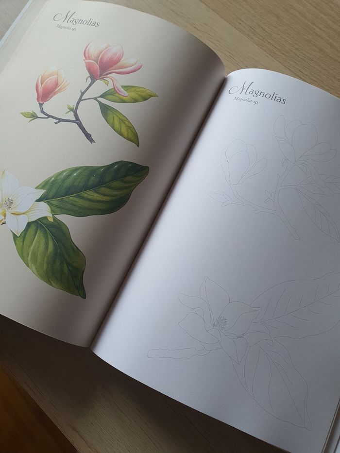Livre "Fleurs du jardin à colorier" Larousse neuf - photo numéro 2