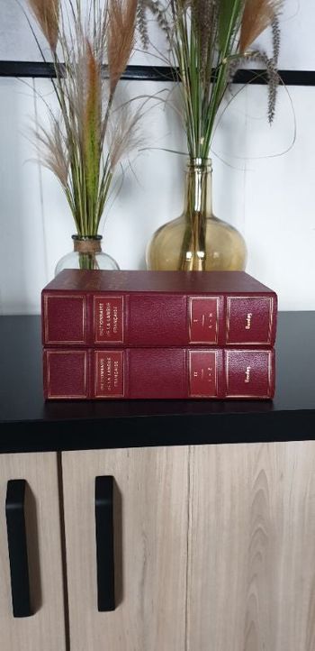 Lot de 2 grosses encyclopédie dictionnaire de la langue française Bordas neuf