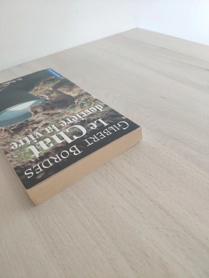 Livre poche le chat derrière la vitre Gilbert Bordes - photo numéro 4