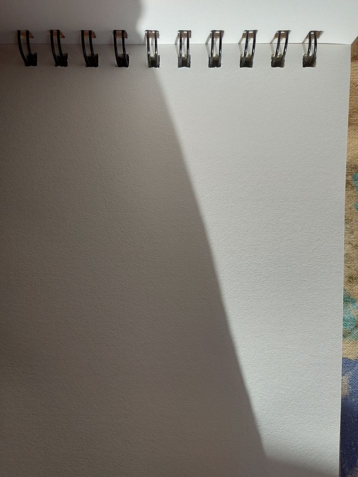 Feuilles à dessins - photo numéro 2