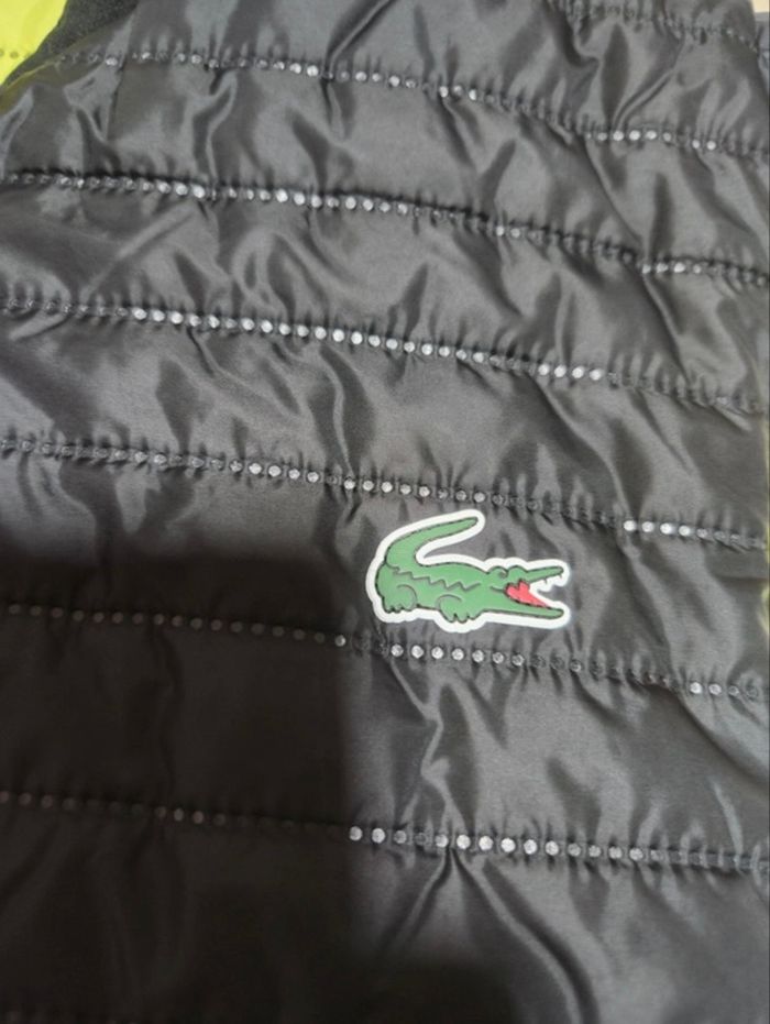 Veste sans manche Lacoste réversible - photo numéro 7