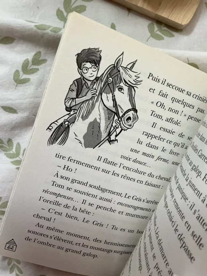 livre la cabane magique tome 13 les chevaux de la ville fantôme - photo numéro 5