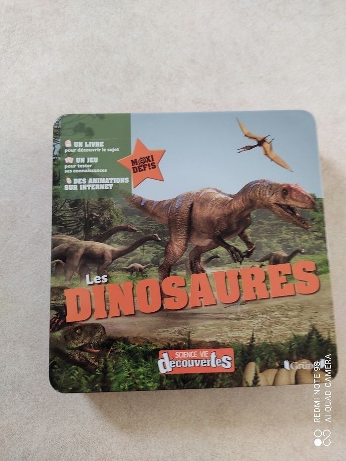 Jeu dinosaure - photo numéro 2