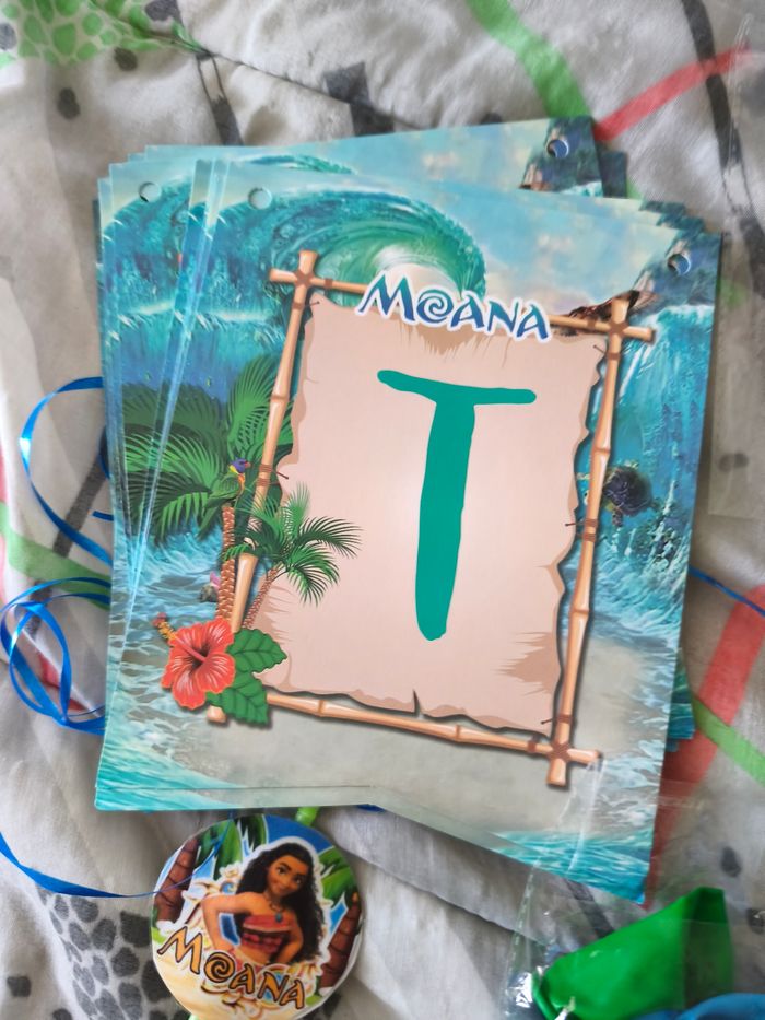 Décoration vaiana - photo numéro 2