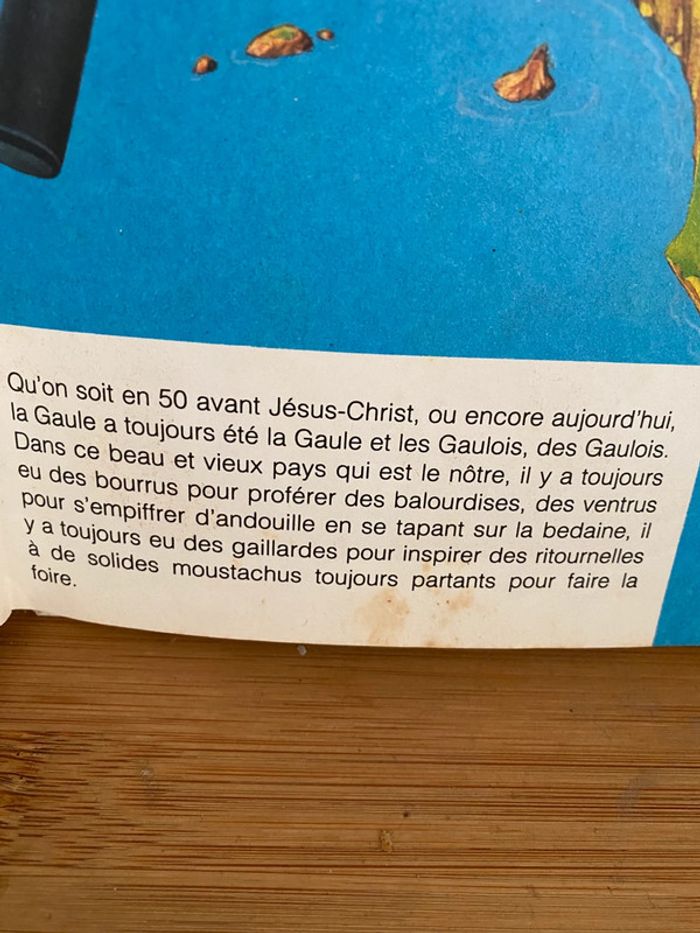 Vive la Gaulle Astérix - photo numéro 8