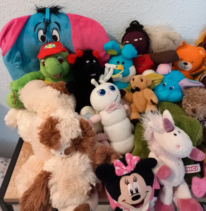 Lots de peluches différentes marques ajena, fizzy, nounours,etc - photo numéro 2