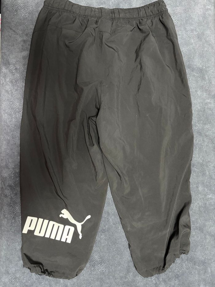 Pantacourt puma - photo numéro 2