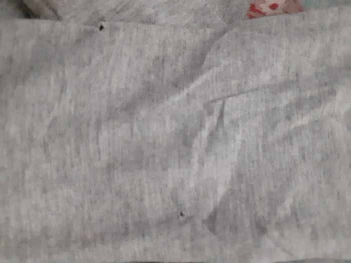 Tee-shirt - photo numéro 5