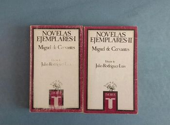 Miguel de Cervantes, Novelas ejemplares.