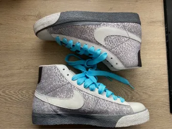 Baskets Nike