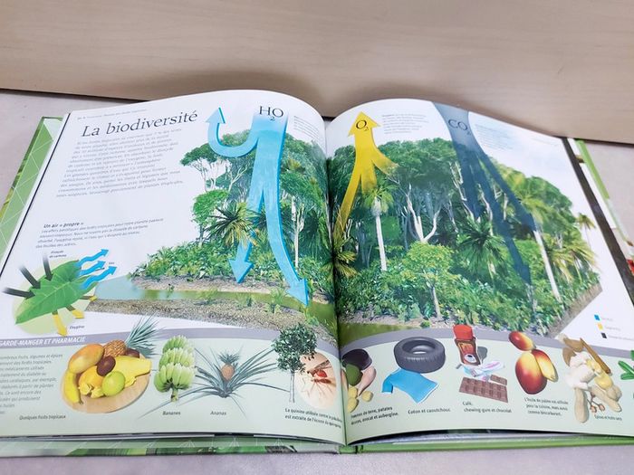 🌺 Livre : La forêt vierges à la loupe - photo numéro 4