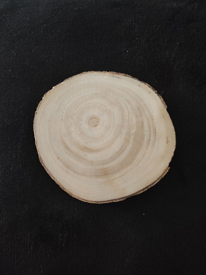 Rondin de bois maîtresse - photo numéro 4