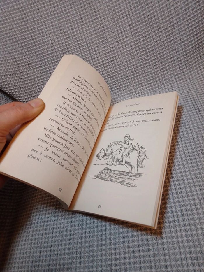 Un Nouvel Ami - Les Poneys Magiques T.1 - photo numéro 5