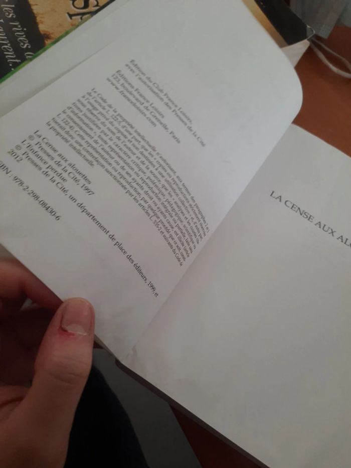 Roman d'été - photo numéro 9