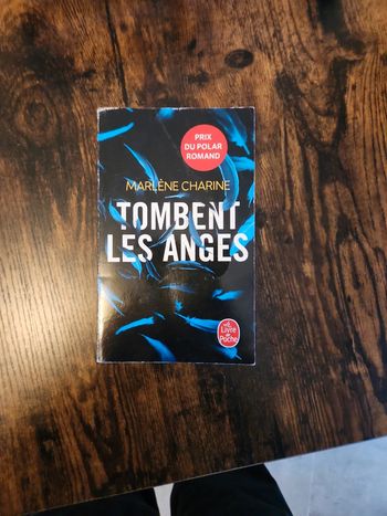 Livre : Tombent les anges