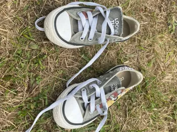 Chaussure taz