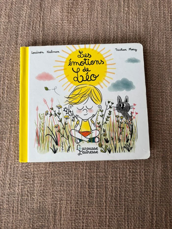 Livre les émotions de Léo