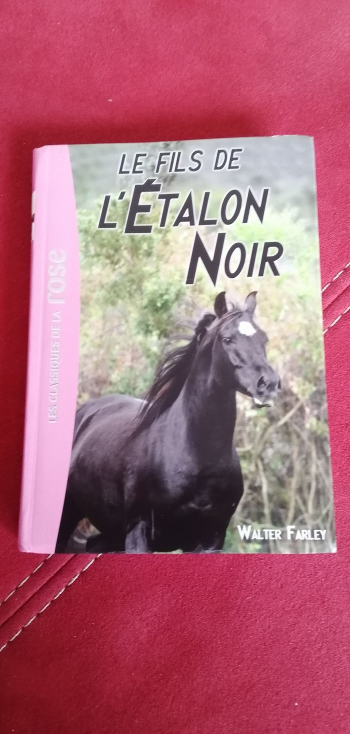 Livre l'étalon noir tome 2 à 5 - photo numéro 4