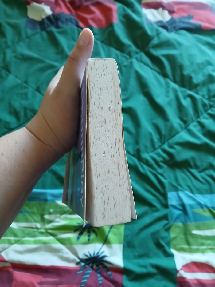 Livre "Phoneplay" de Morgane Bicail - photo numéro 4