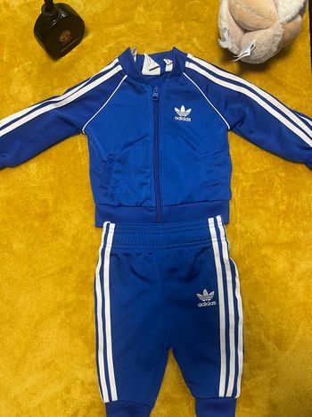Ensemble adidas jogging bébé
