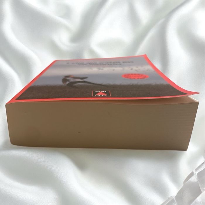 Livre neuf – Celui qui n’était pas un meurtrier – Hjorth & Rosenfeldt - photo numéro 2