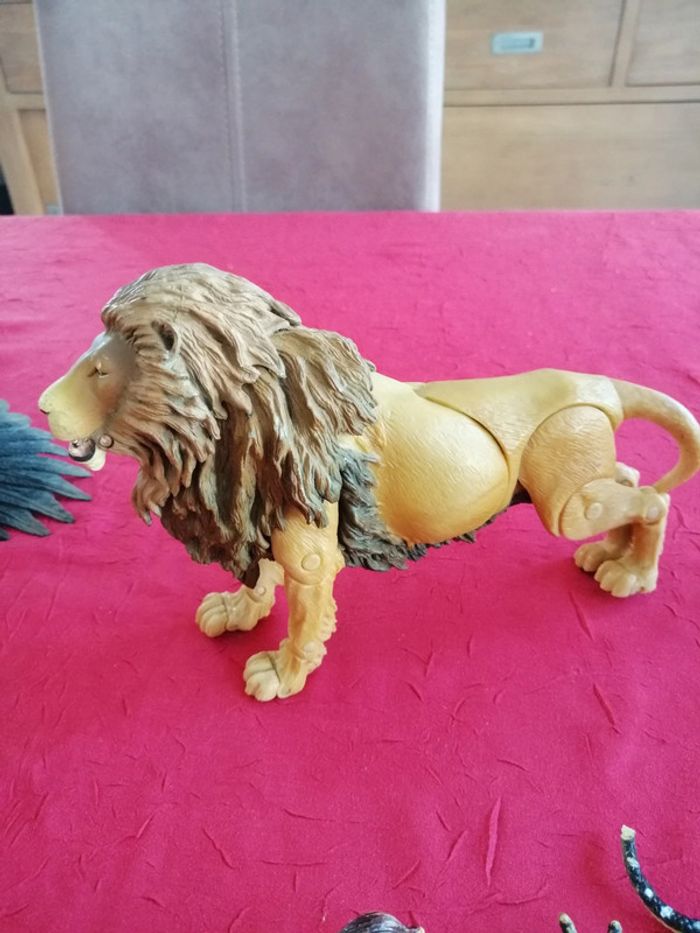 Animaux - photo numéro 5