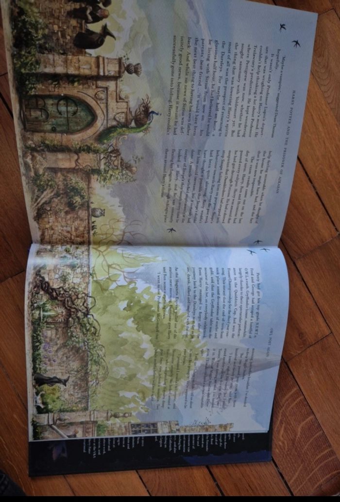 Livre illustré Harry Potter et le prisonnier d'Azkaban - photo numéro 5