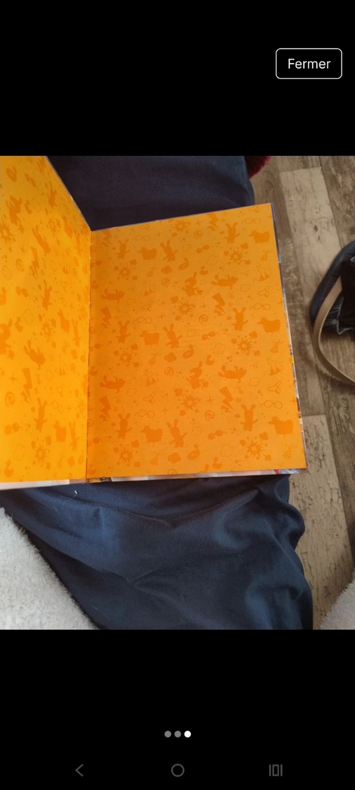 Livre lapin crétin - photo numéro 3