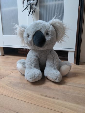 Doudou koala