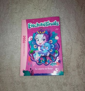 Livre  Enchantimals