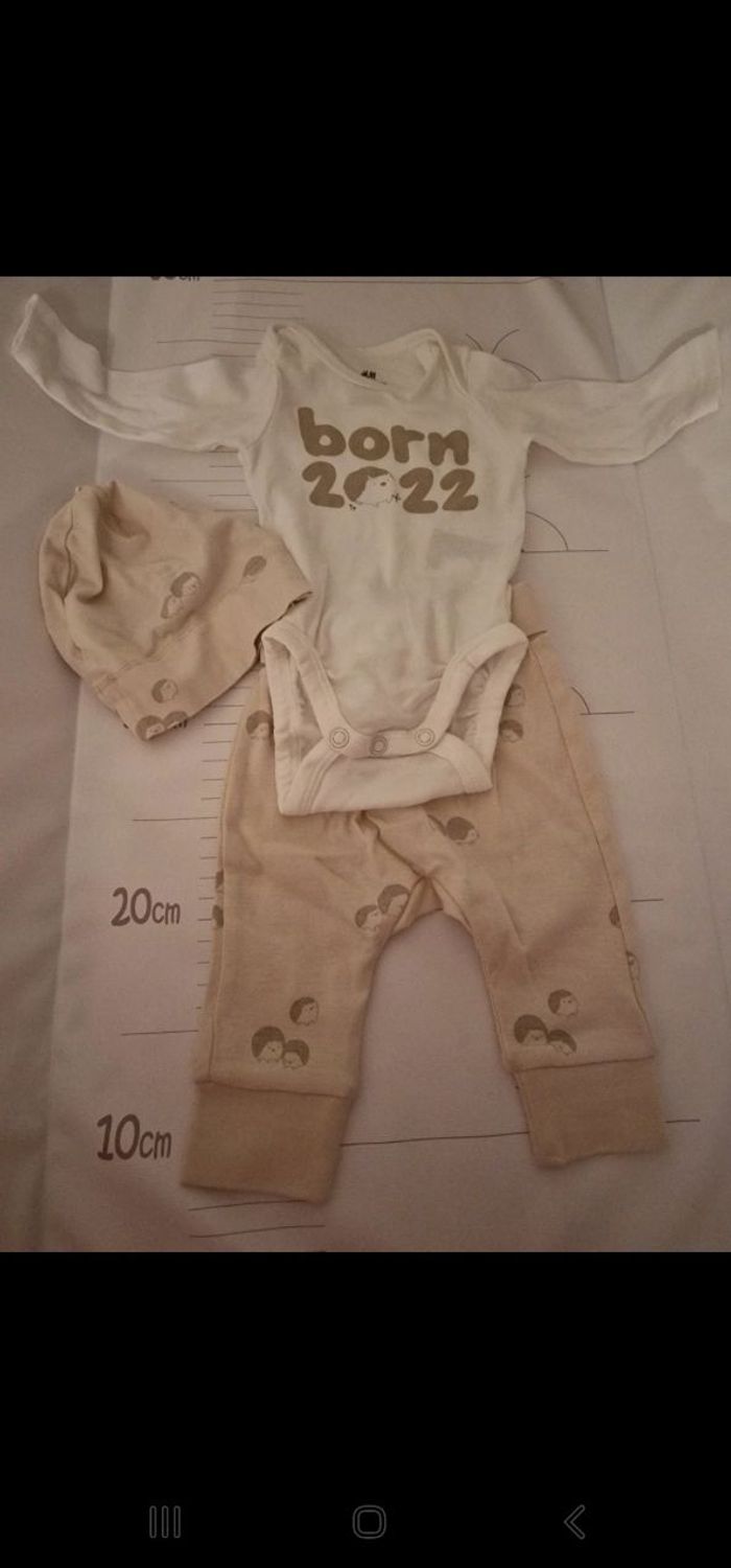 Ensemble hérisson. - photo numéro 2