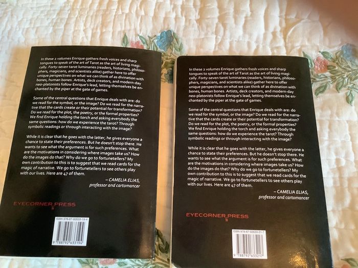 Ex Itent Er et En Terex It, livres d’Enrique Enriquez d’entretiens sur le tarot en anglais - photo numéro 2