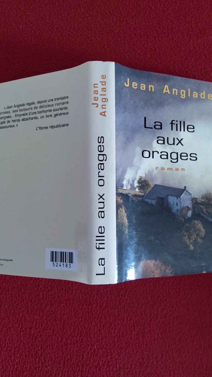 La fille aux orages - photo numéro 5