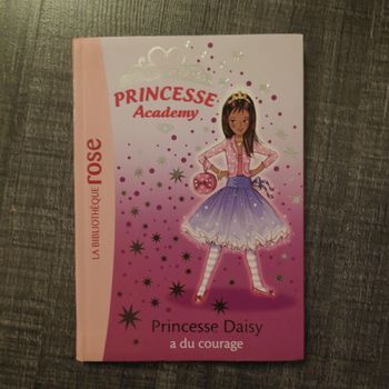 Livre  enfant  princesse academy