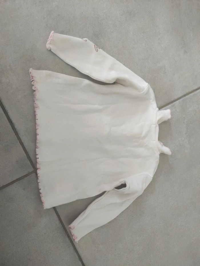 Tee shirt 1 an grain de blé - photo numéro 2