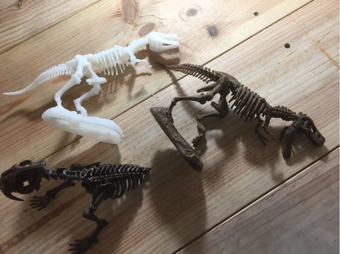 4 puzzles 3D dinosaures - photo numéro 10