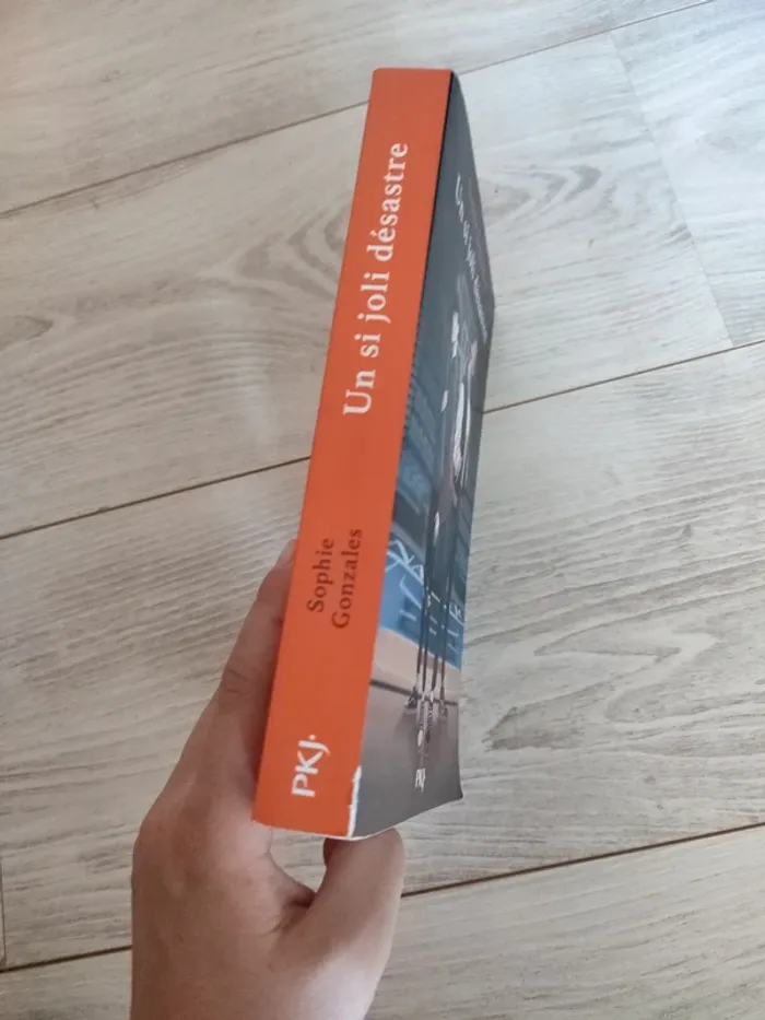 Un si joli désastre Sophie Gonzales PkJ - photo numéro 2