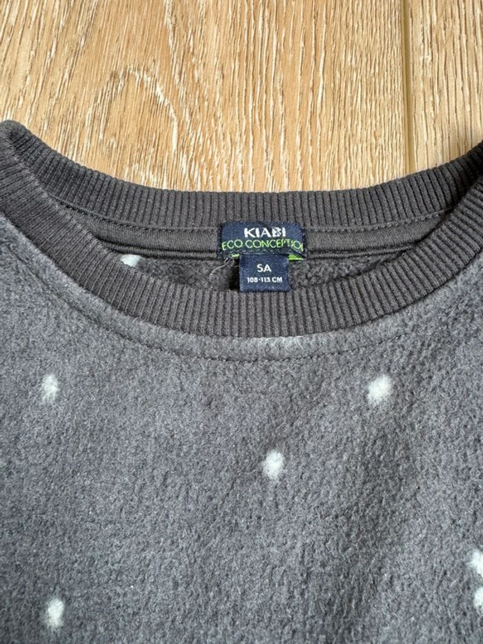 Polaire - photo numéro 2