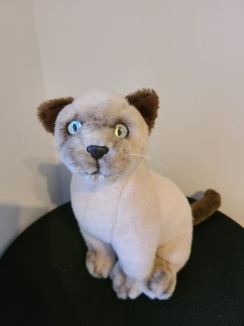 peluche siamois
