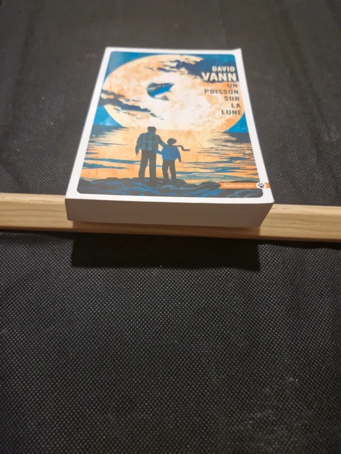 Un poisson sur la lune - David Vann - photo numéro 2