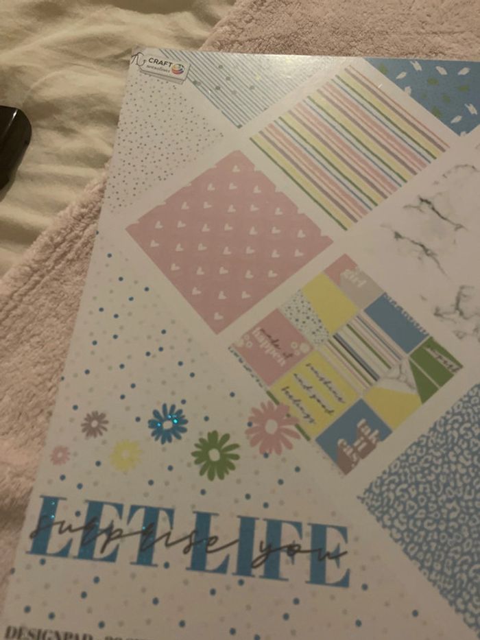 Carnet de paiers - photo numéro 12