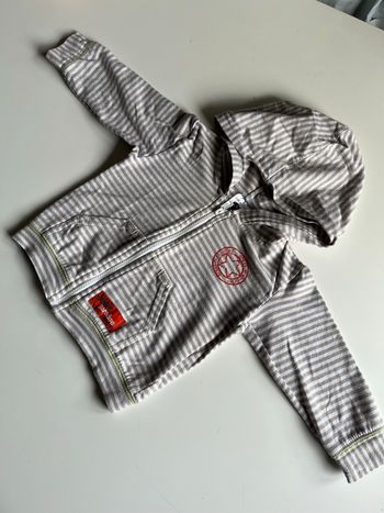 Gilet zippé à capuche