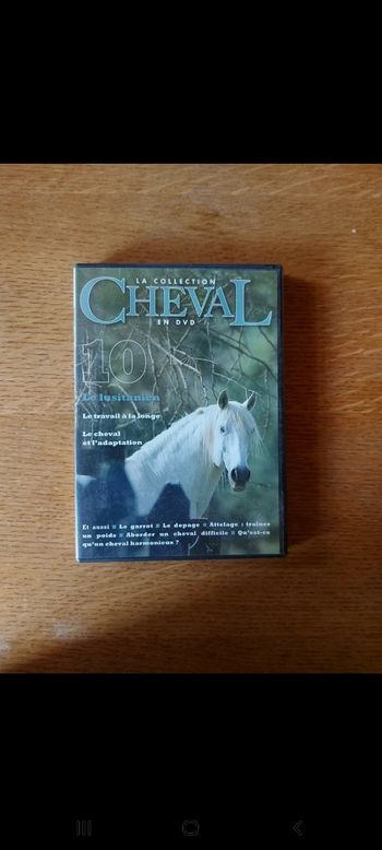 DVD