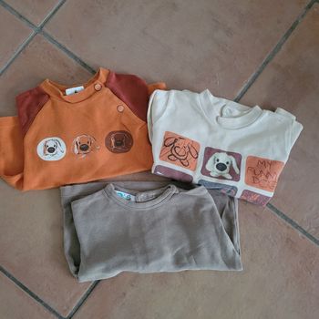 Lot tee-shirts  Vertbaudet
