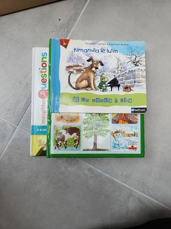 Lot de 3 livres enfants