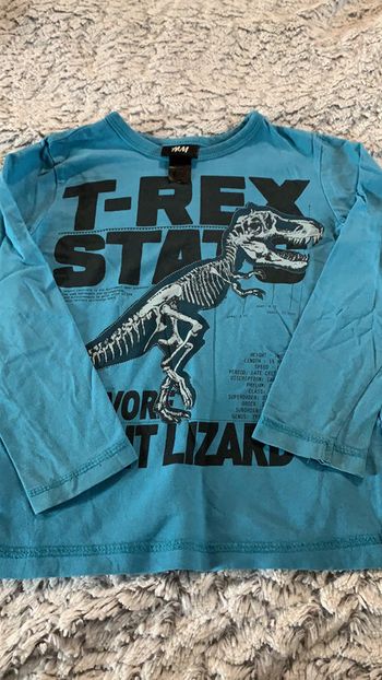 Teeshirt dinosaures