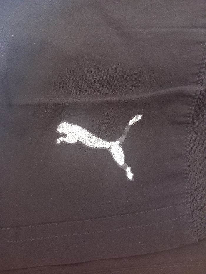 Short puma - photo numéro 5