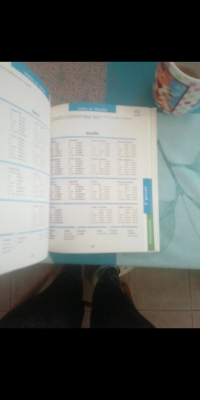 Le guide de conjugaison - photo numéro 4